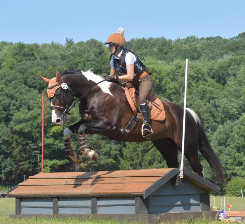 Penny Equestrian