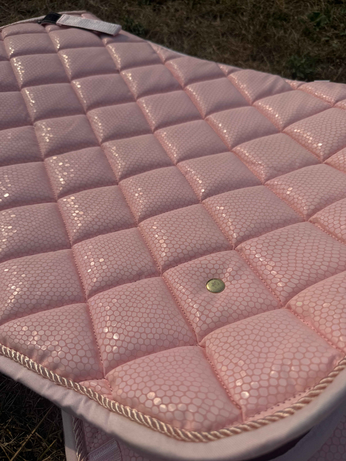 Blush Holographic Collection