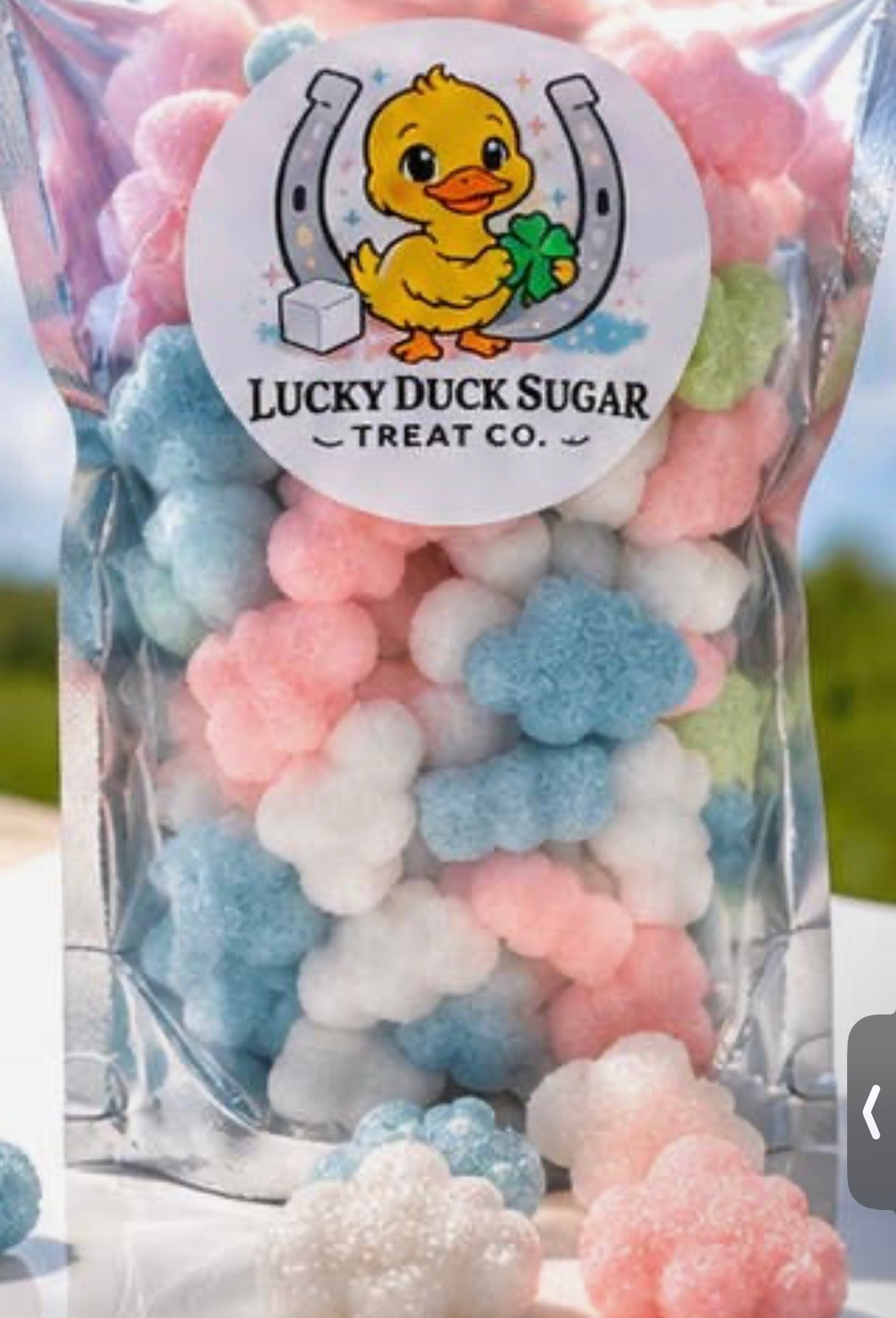 Lucky Duck Sugar Treats