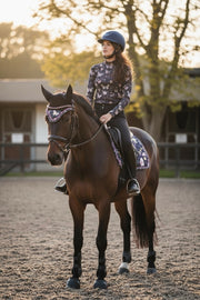 Enchanted Forest Collection