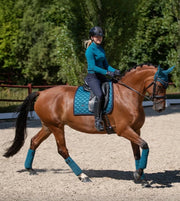Equestrian Stockholm Aurora Blues Collection