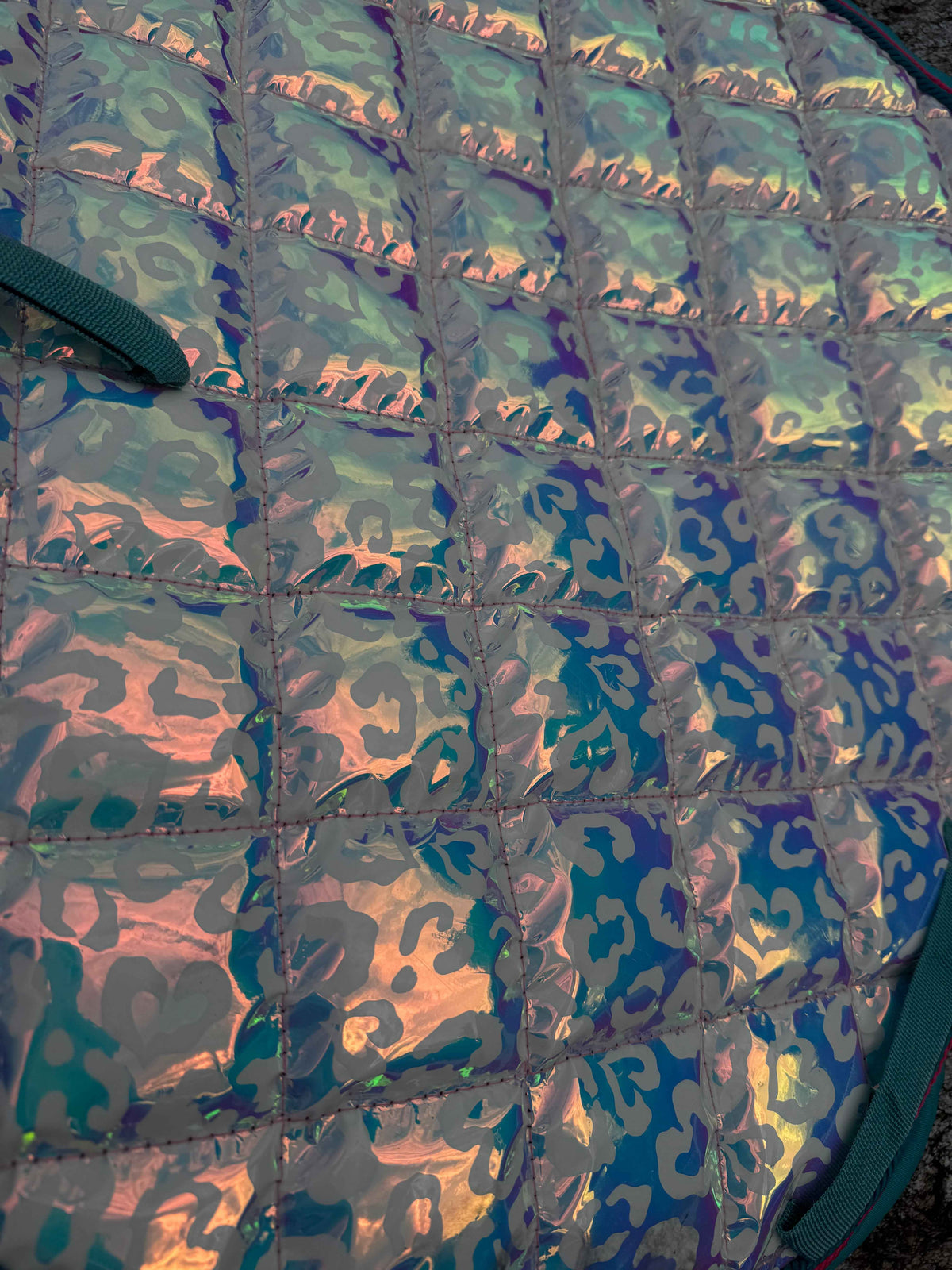 Leopard Hearts Holographic Collection