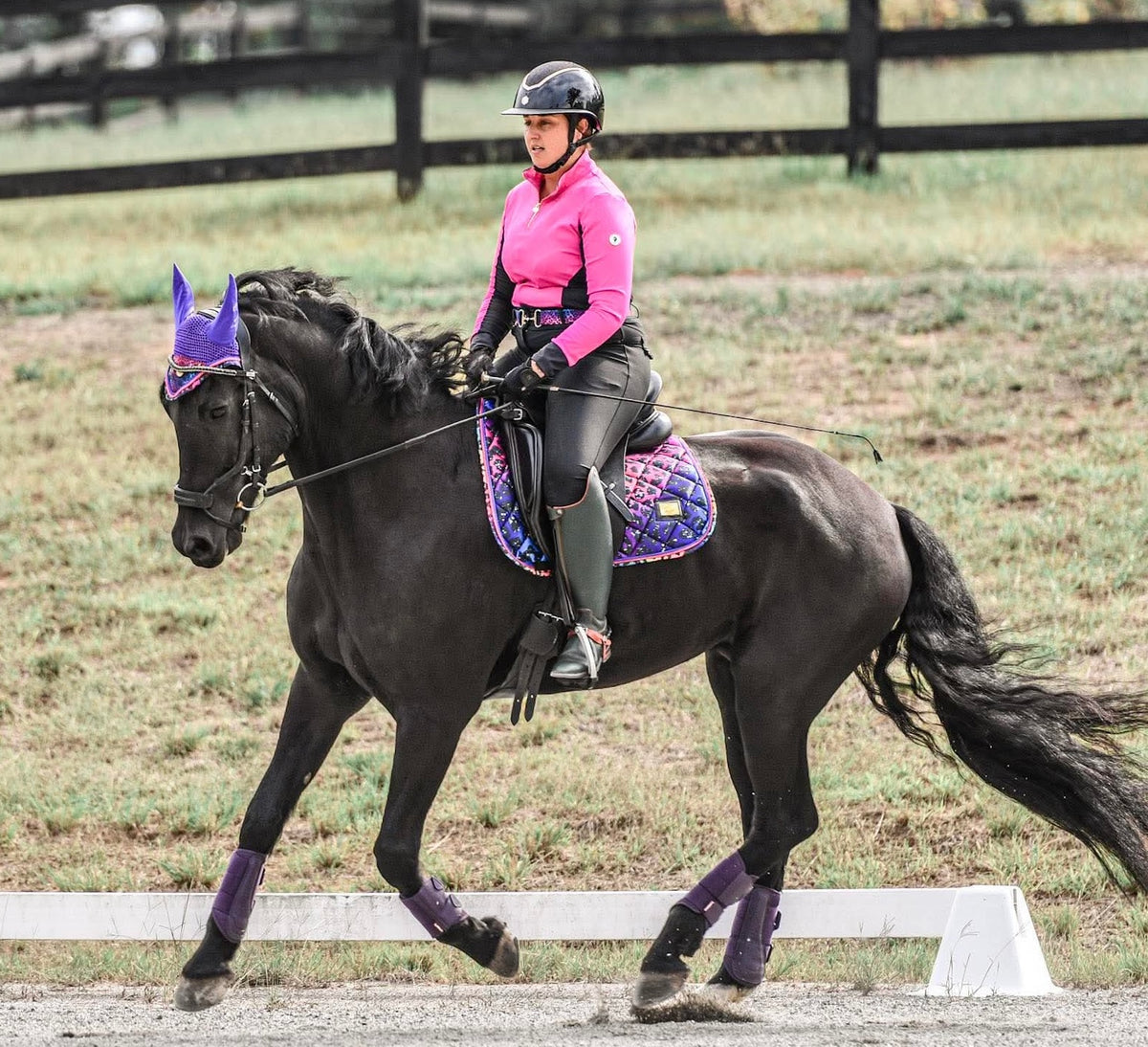 Penny Equestrian