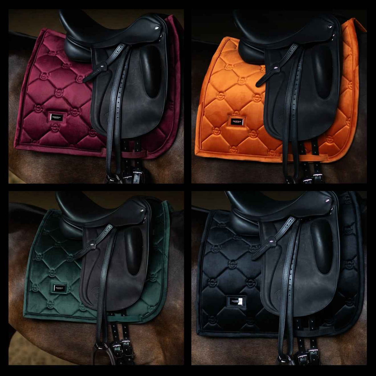 Equestrian Stockholm Velvet Dressage Collection