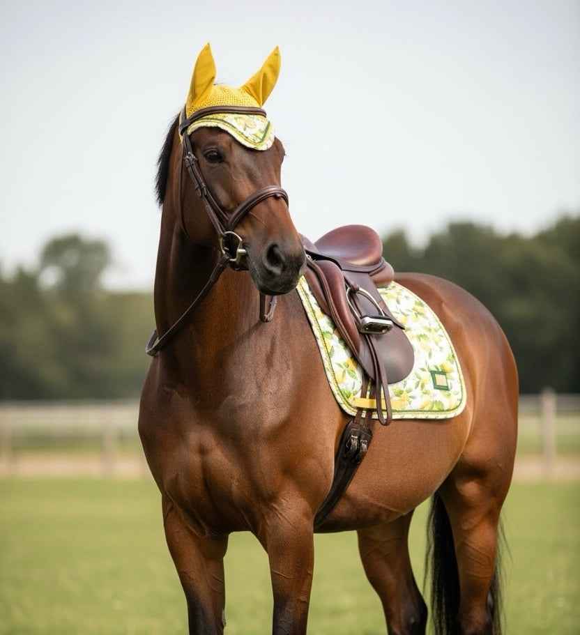 The Lemons Collection