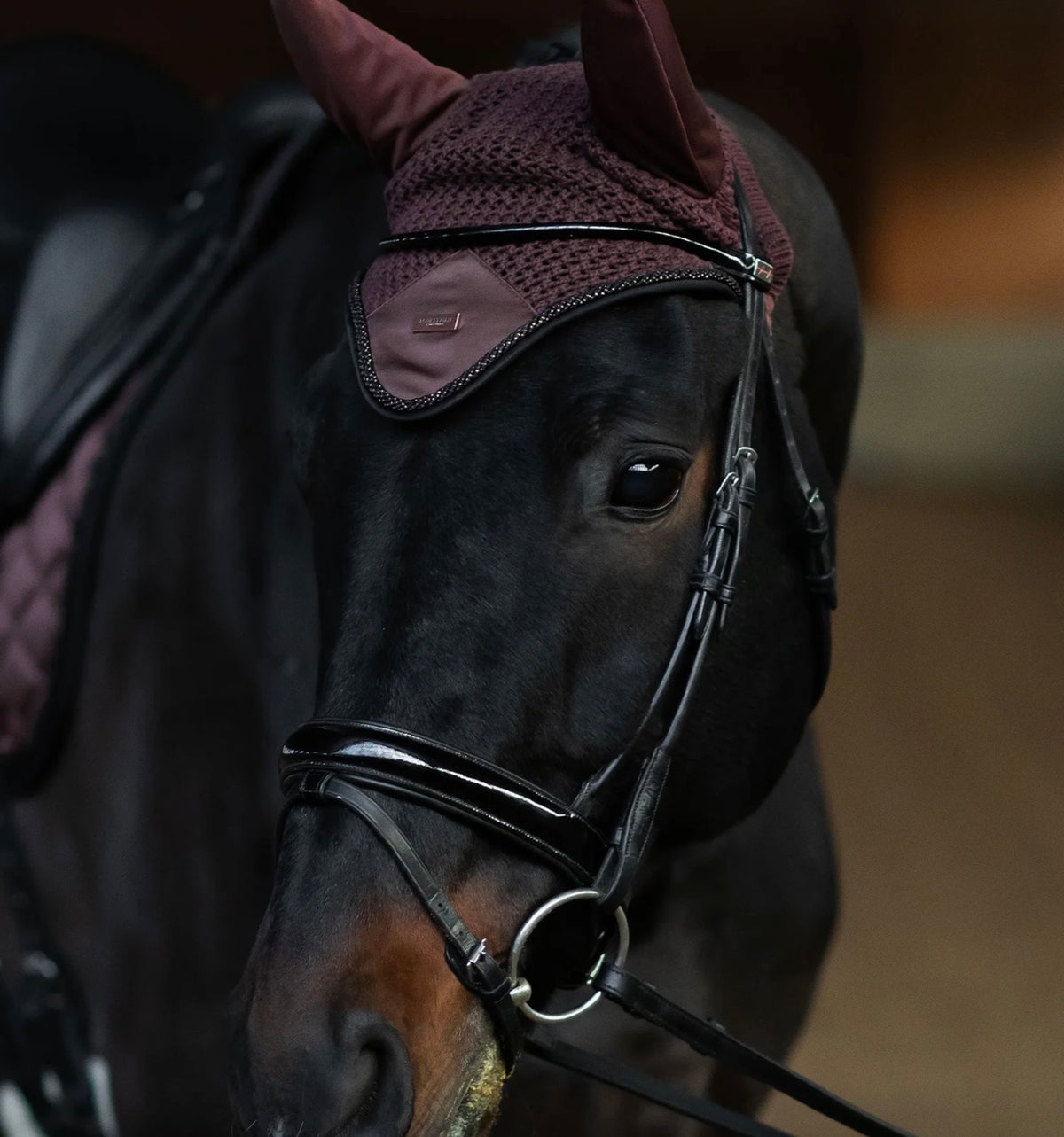 Equestrian Stockholm Endless Glow Collection