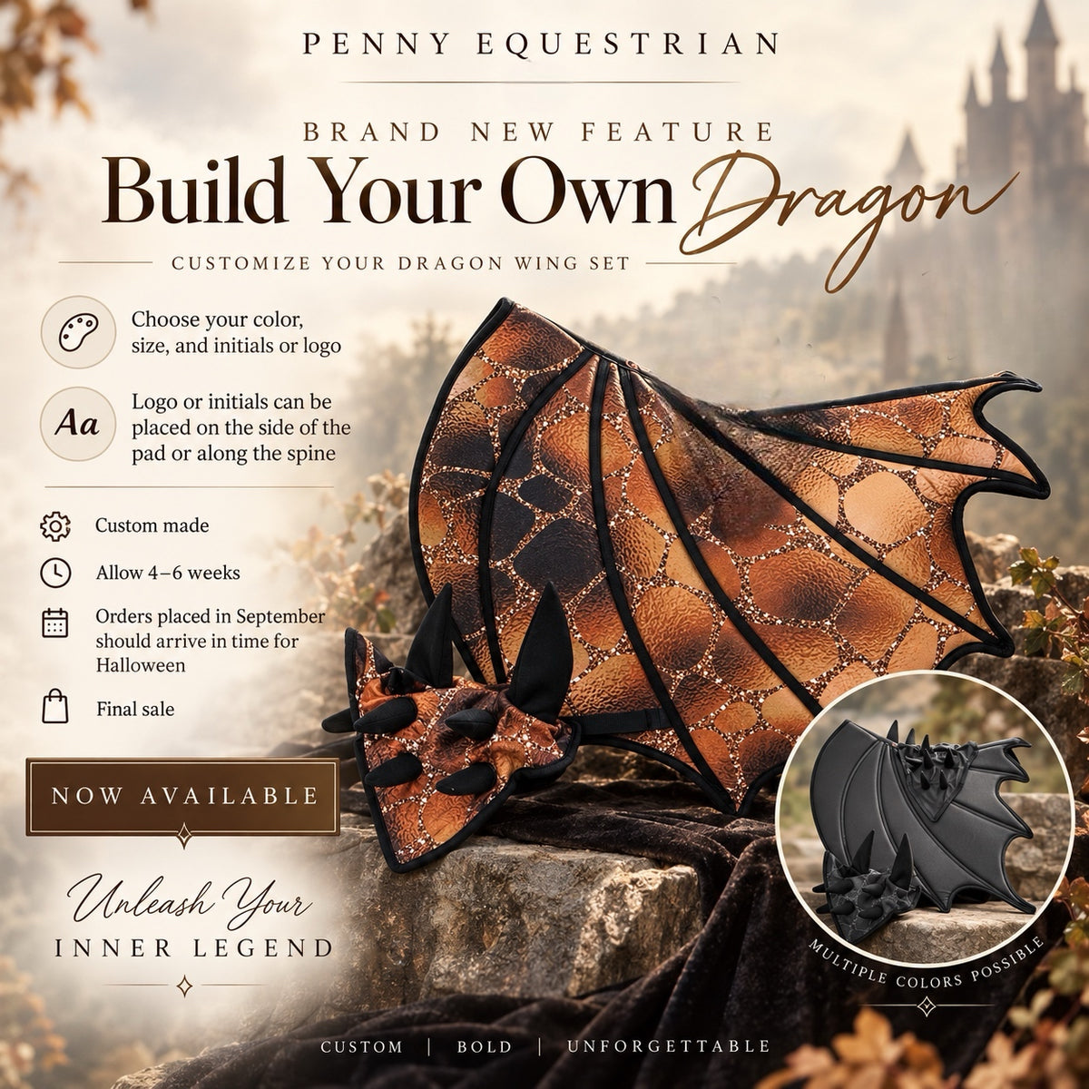 ❤️‍🔥Build Your Own Dragon❤️‍🔥