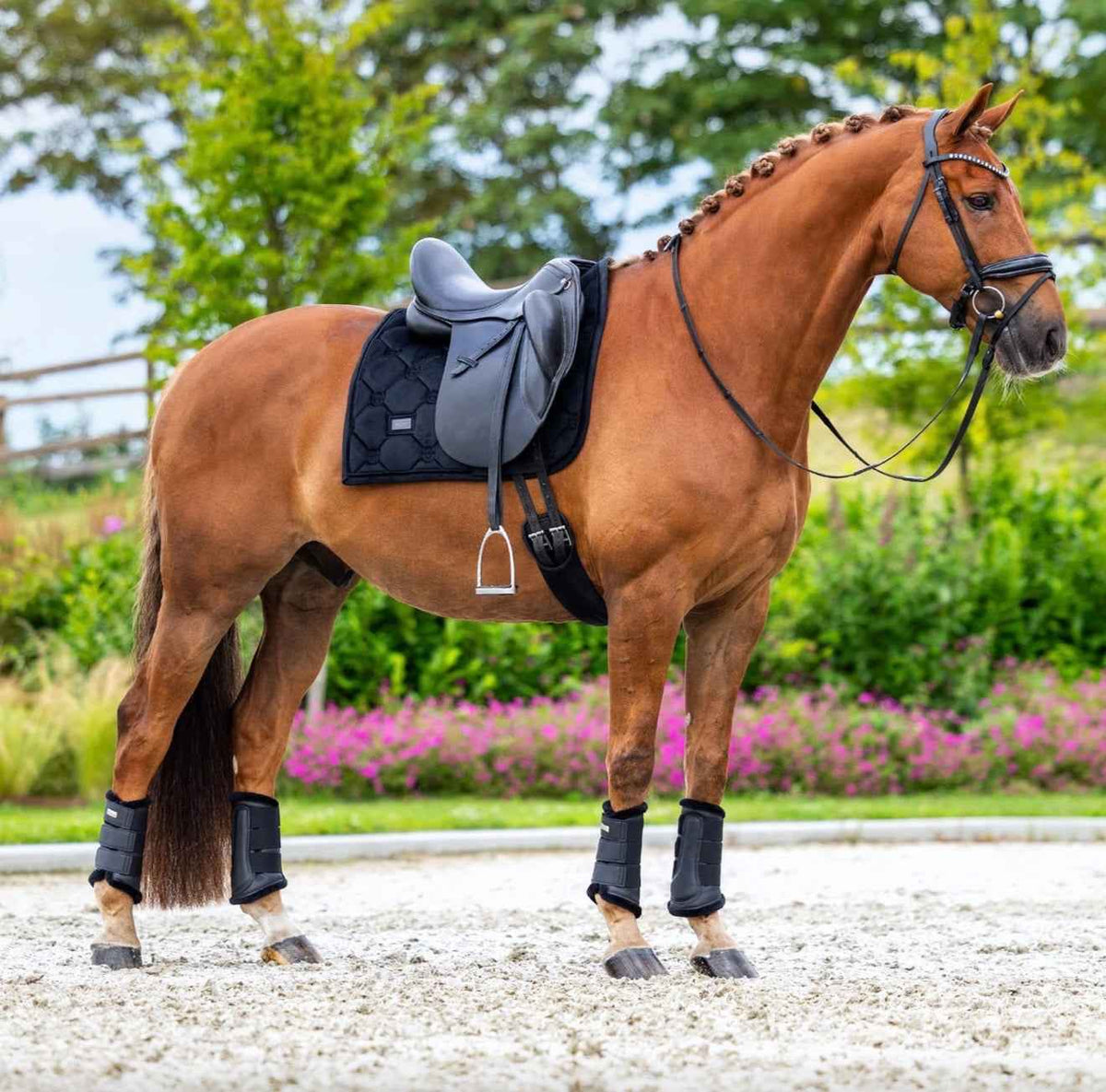 Equestrian Stockholm Velvet Dressage Collection