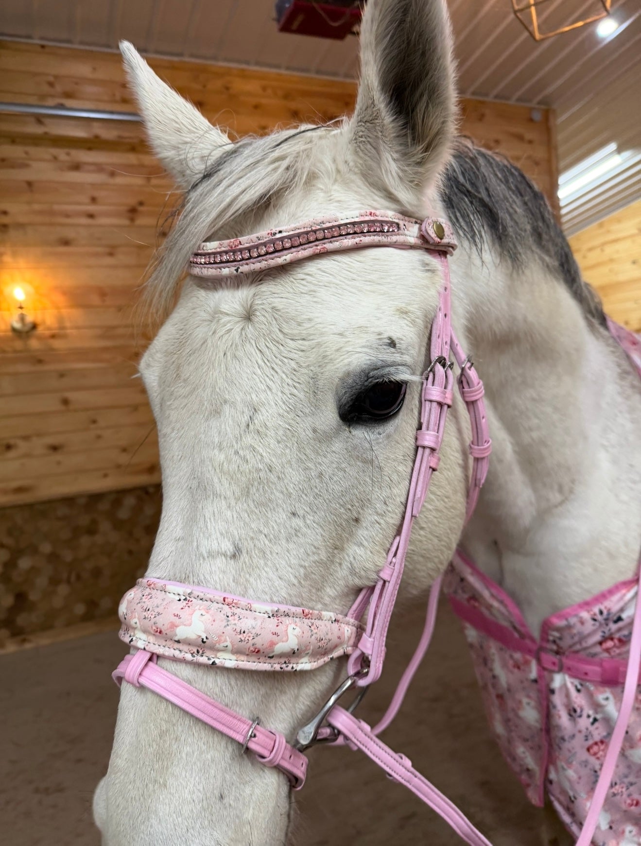Unicorn Realms Flash Bridle