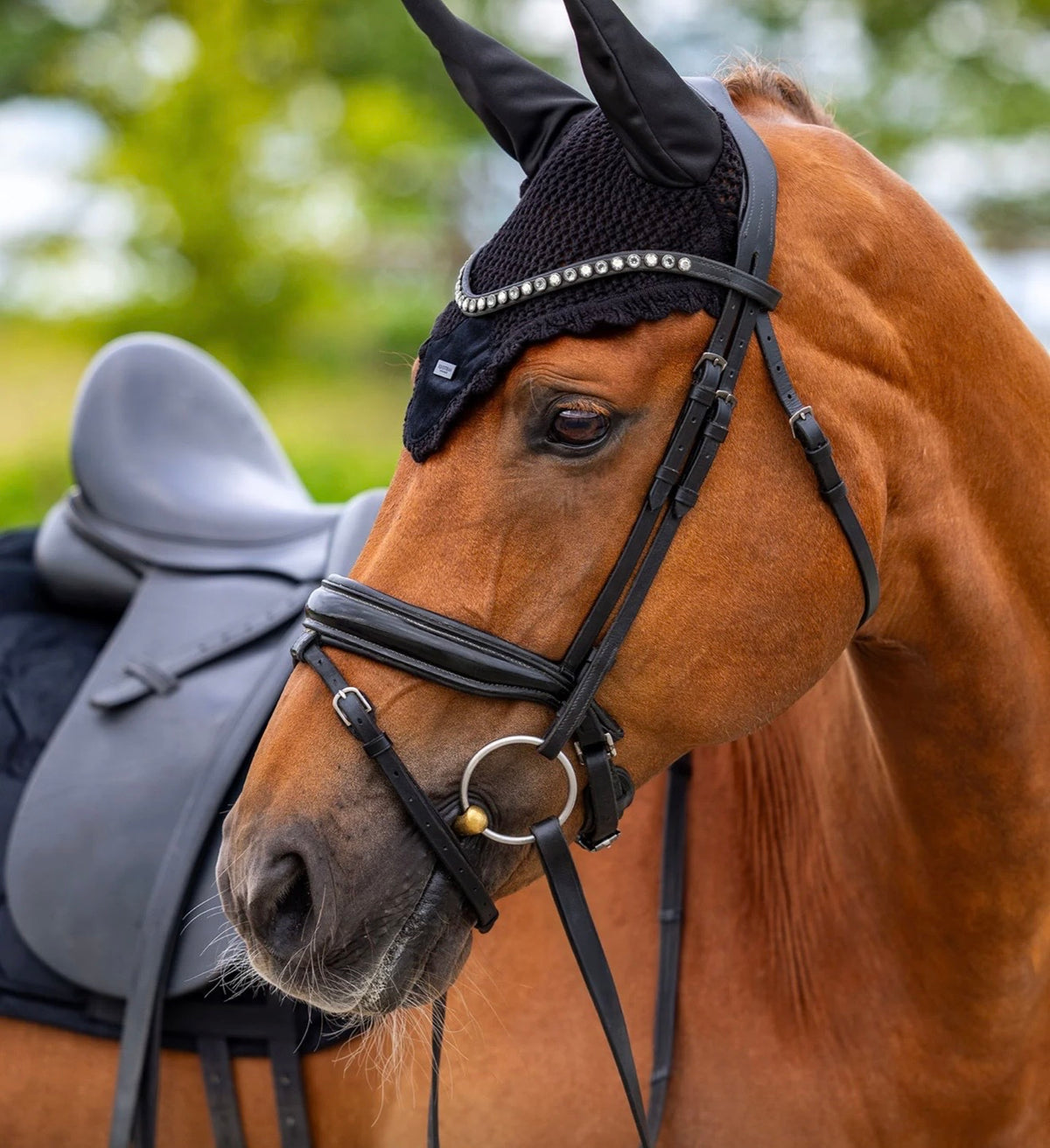 Equestrian Stockholm Velvet Bonnet Collection