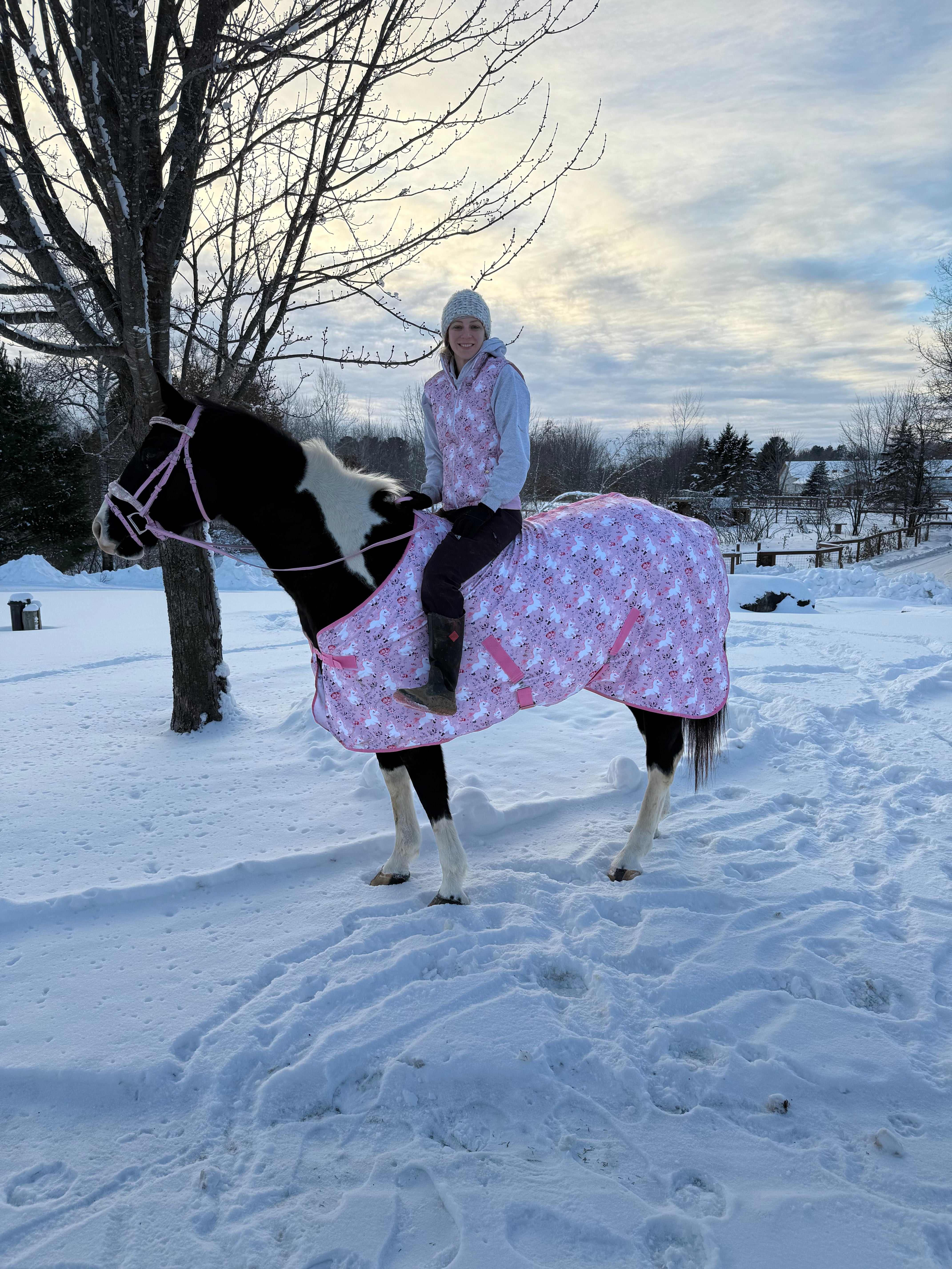 Unicorn Realms Fleece Rug/Cooler