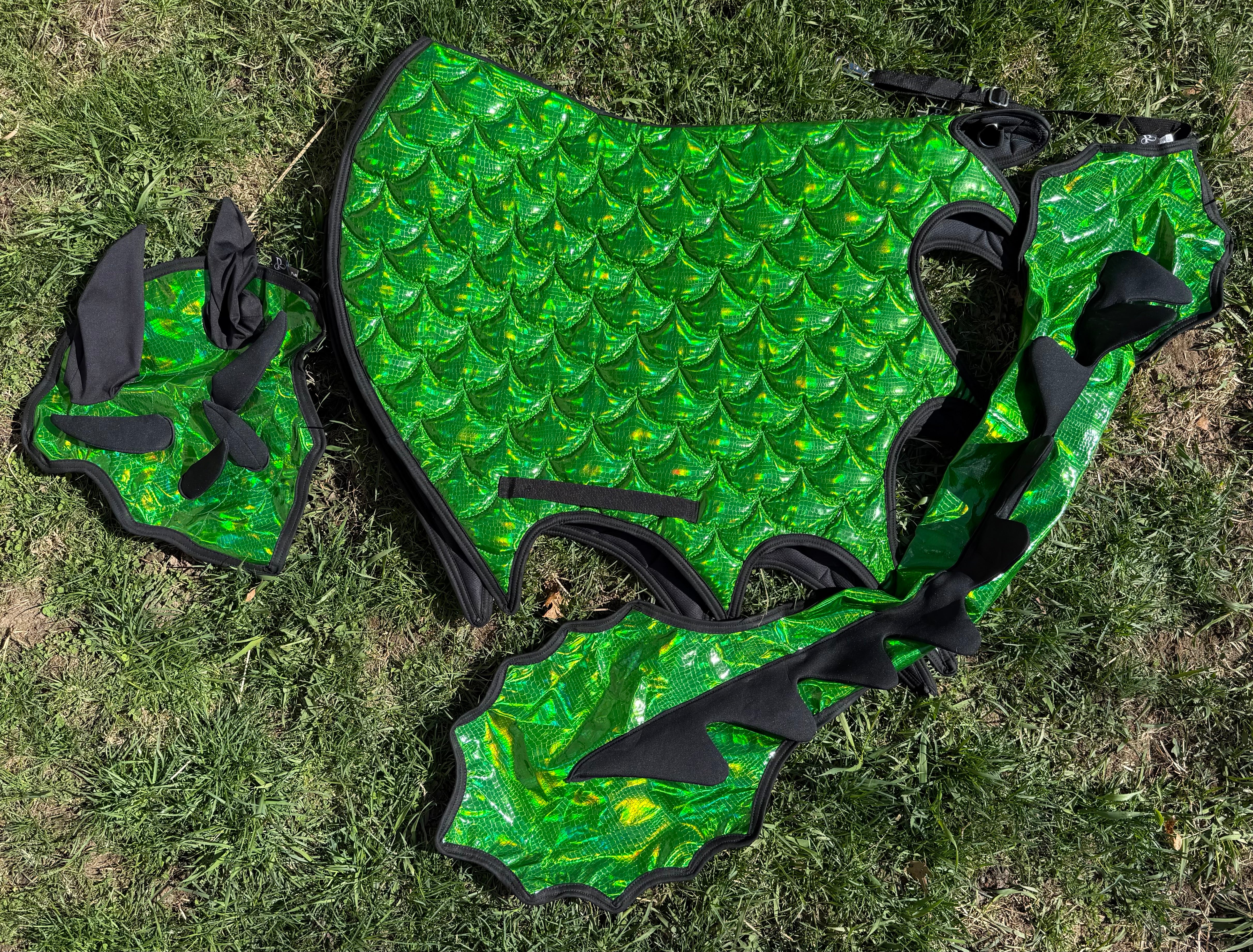 Dragon Wings