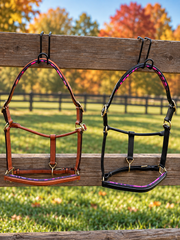Rainbow Leopard Leather Halter