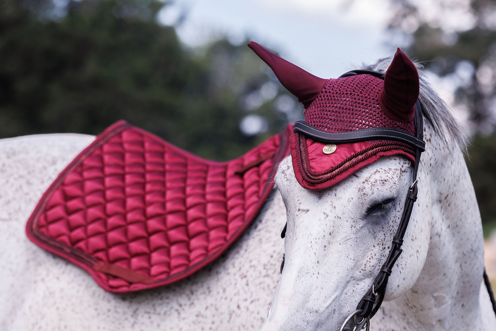 Penny Equestrian