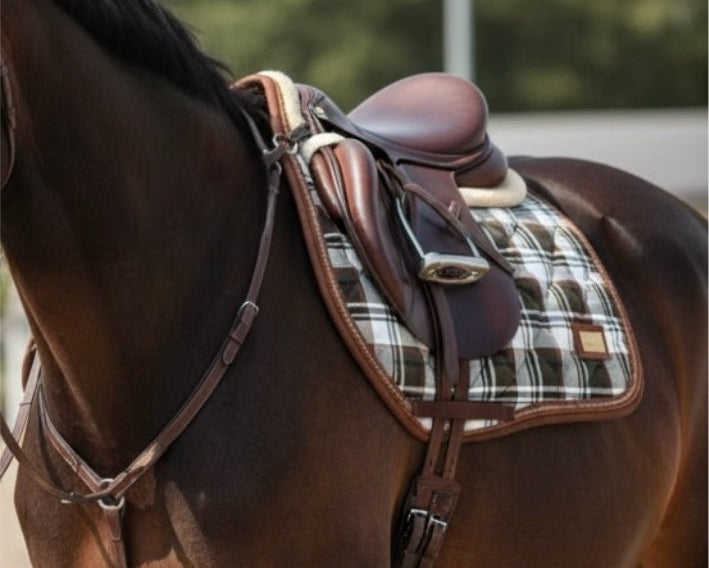 Autumn Plaid Collection