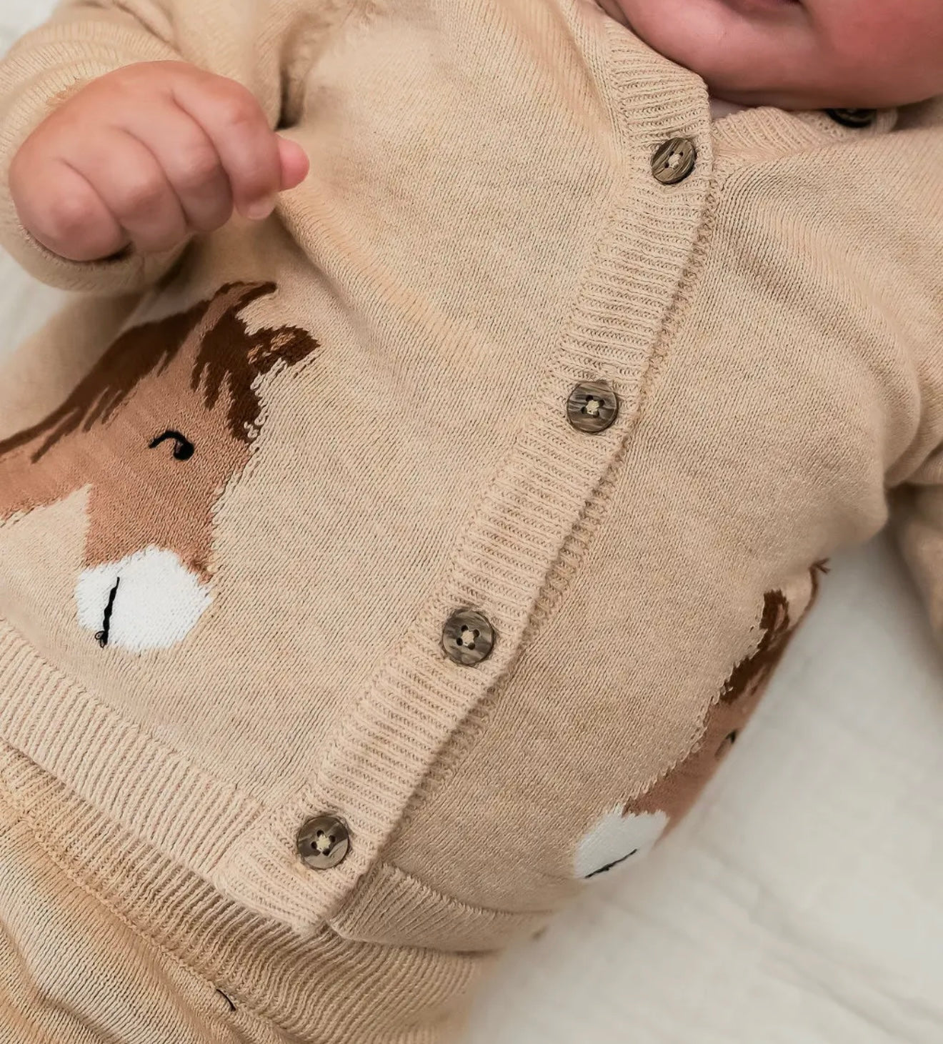 Horse Jacquard Sweater Knit Baby
Cardigan (Organic Cotton)
