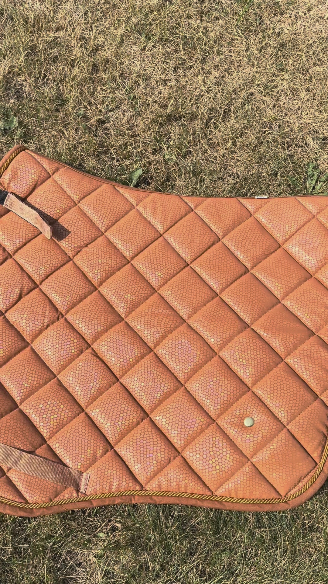 Load video: Cognac Holographic Collection
